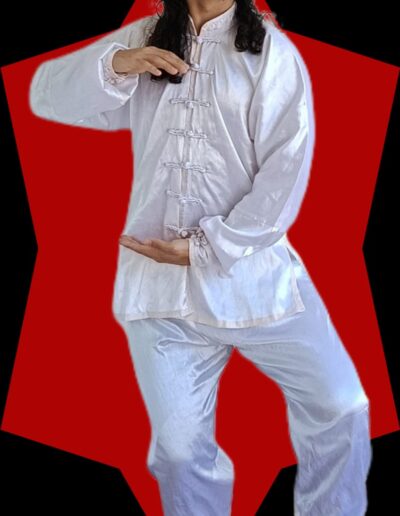 Aulas de Tai Chi Chuan em Bertioga