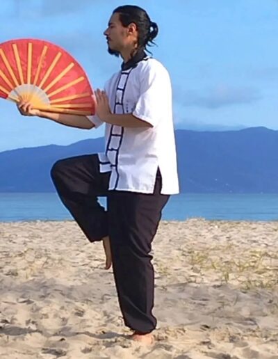 Aulas de Tai Chi Chuan em Bertioga