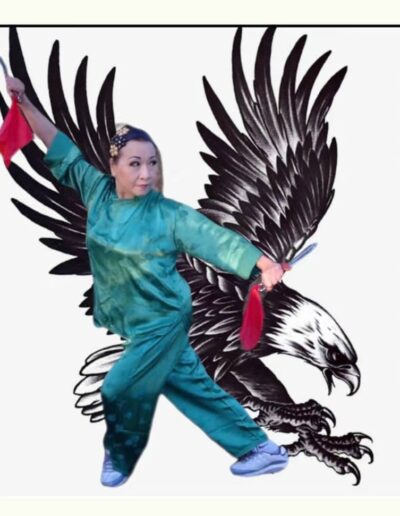 Aulas de Kung Fu em Bertioga