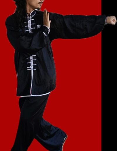 Aulas de Kung Fu em Bertioga