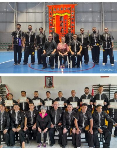 Aulas de Kung Fu em Bertioga