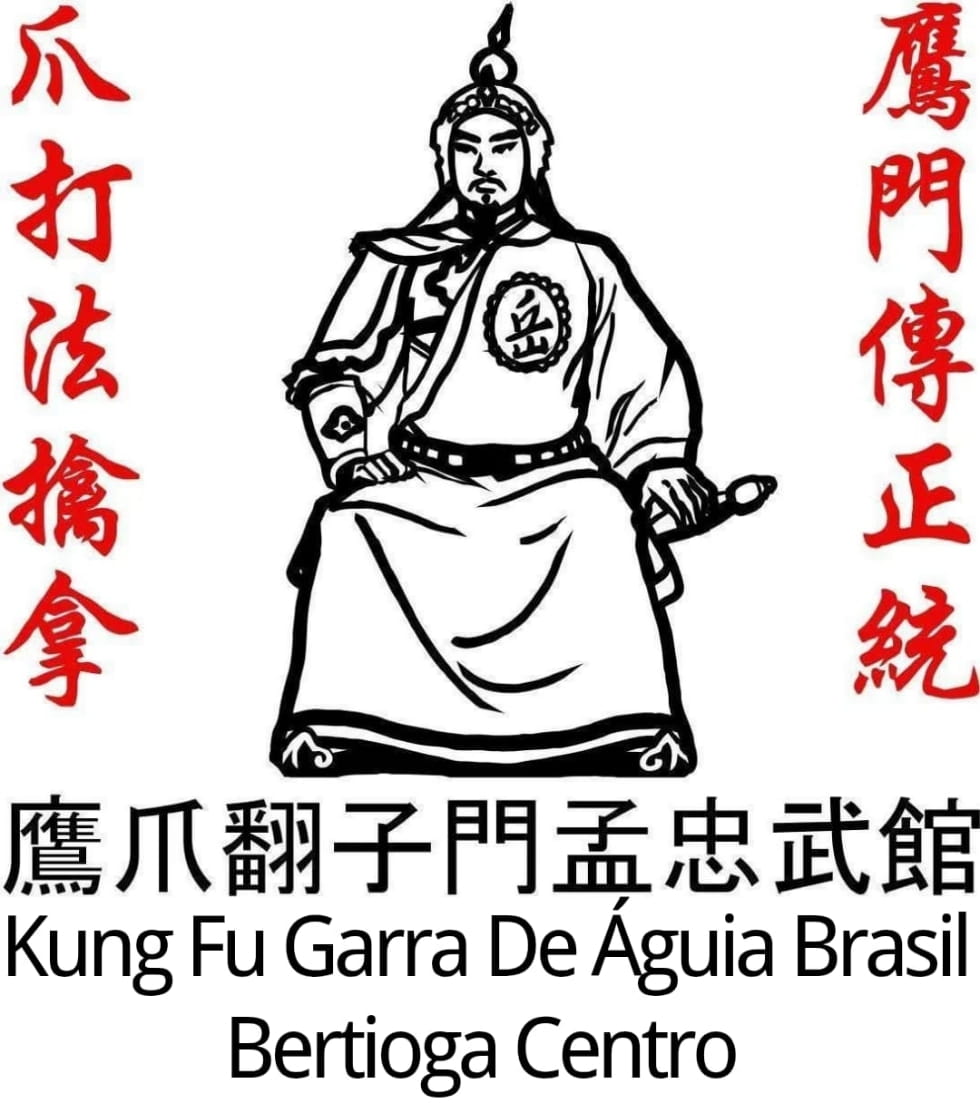 Aulas de Kung Fu e Tai Chi Chuan em Bertioga - Professor Aron Granier